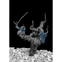 Bobal - Black Edition by Armin Faber