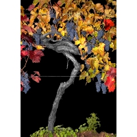 Portugieser - Black Edition by Armin Faber