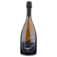 Bollinger Champagner PN VZ17