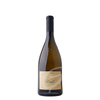 2025 Kellerei Terlan Winkl Sauvignon Blanc DOC S�dtirol Italien